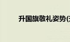 升国旗敬礼姿势(升国旗敬礼姿势)