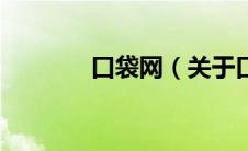 口袋网（关于口袋网的介绍）