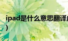 ipad是什么意思翻译成中文(ipad是什么意思)