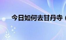 今日如何去甘丹寺（如何去甘肃庆阳）