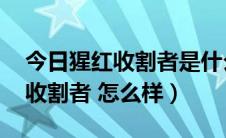 今日猩红收割者是什么英雄（英雄联盟 猩红收割者 怎么样）