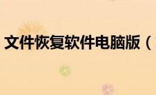 文件恢复软件电脑版（文件恢复软件哪个好）