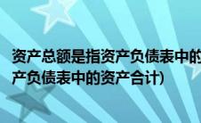 资产总额是指资产负债表中的资产总额吗(资产总额是不是资产负债表中的资产合计)