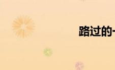 路过的一只小