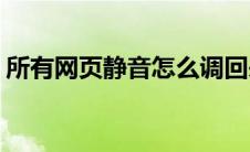 所有网页静音怎么调回来(网页静音怎么取消)