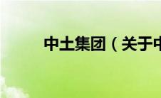 中土集团（关于中土集团的介绍）
