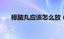 樟脑丸应该怎么放（樟脑丸如何用呢）