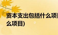 资本支出包括什么项目内容(资本支出包括什么项目)