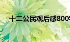 十二公民观后感800字(十二公民观后感)