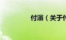 付滃（关于付滃的介绍）