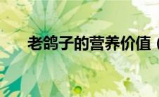 老鸽子的营养价值（鸽子的食用禁忌）