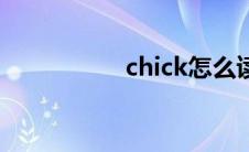 chick怎么读（chick）