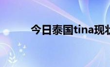 今日泰国tina现状（泰国 TINA）