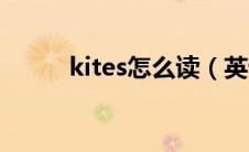 kites怎么读（英语kites怎么读）