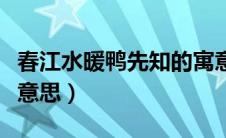春江水暖鸭先知的寓意（春江水暖鸭先知什么意思）