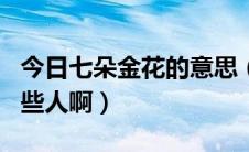 今日七朵金花的意思（请问大家:7朵金花是哪些人啊）
