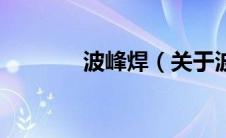 波峰焊（关于波峰焊的介绍）