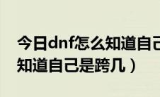 今日dnf怎么知道自己哪个区有号（dnf怎么知道自己是跨几）