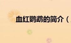 血红鹦鹉的简介（血红鹦鹉的介绍）