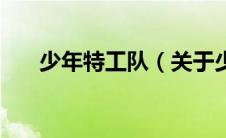 少年特工队（关于少年特工队的介绍）