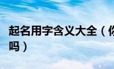 起名用字含义大全（你都理解这些名字的意思吗）
