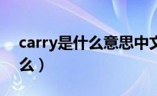 carry是什么意思中文（carry的意思是是什么）