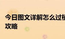 今日图文详解怎么过植物大战僵尸无尽版以及攻略