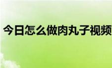 今日怎么做肉丸子视频大全（怎么做肉丸子）