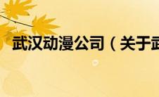 武汉动漫公司（关于武汉动漫公司的介绍）