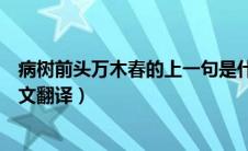病树前头万木春的上一句是什么（病树前头万木春出处及原文翻译）
