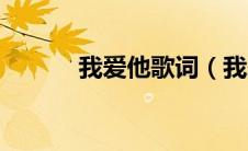 我爱他歌词（我爱他完整歌词）