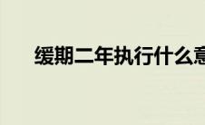 缓期二年执行什么意思(缓期二年执行)