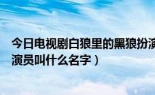 今日电视剧白狼里的黑狼扮演者是谁（电视剧白狼卢团长的演员叫什么名字）
