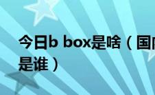 今日b box是啥（国内目前最厉害的B-BOX是谁）