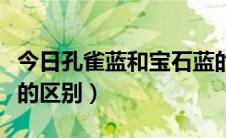 今日孔雀蓝和宝石蓝的区别（宝蓝色和孔雀蓝的区别）