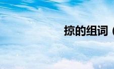 掠的组词（掠组词）