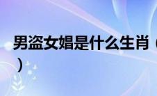 男盗女娼是什么生肖（男盗女娼是指哪个生肖）