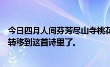 今日四月人间芬芳尽山寺桃花开春回无处寻。不知道是不是转移到这首诗里了。