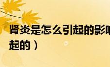 肾炎是怎么引起的影响生育吗（肾炎是怎么引起的）