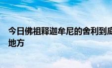 今日佛祖释迦牟尼的舍利到底有多少真正供奉在中国的什么地方