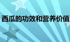 西瓜的功效和营养价值(西瓜营养价值及功效)