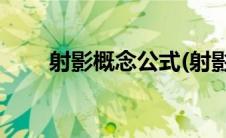 射影概念公式(射影定理和射影公式)
