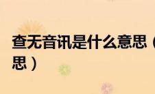 查无音讯是什么意思（查无音讯具体是什么意思）
