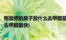 刚装修的房子放什么去甲醛最快最有效(刚装修的房子放什么去甲醛最快)