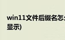 win11文件后缀名怎么显示(文件后缀名怎么显示)