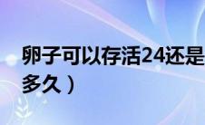卵子可以存活24还是48小时（卵子可以存活多久）