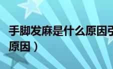 手脚发麻是什么原因引起的（手脚发麻是什么原因）