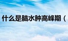 什么是脑水肿高峰期（脑水肿有几个高峰期）