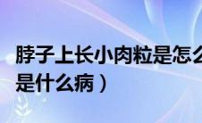 脖子上长小肉粒是怎么回事（脖子上长小肉粒是什么病）