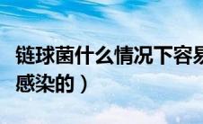 链球菌什么情况下容易感染（链球菌一般怎么感染的）